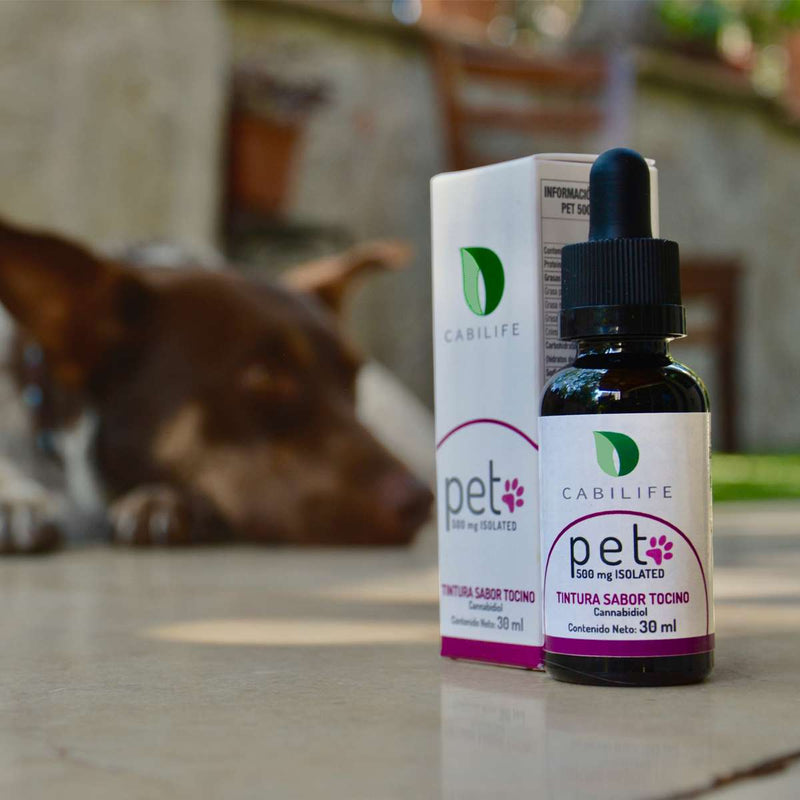 Cabilife | Aceite CBD para Mascotas E. Aislado 500 mg | 30 ml