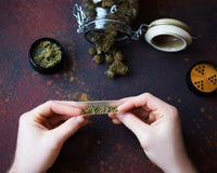 como-forjar-porro-perfecto-guia-cannabis-legal-mexico