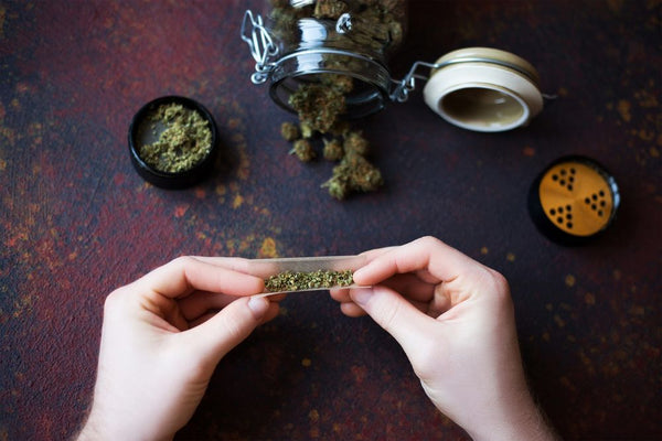 como-forjar-porro-perfecto-guia-cannabis-legal-mexico