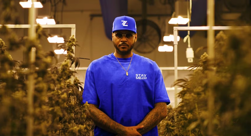 Carmelo Anthony Lanza STAYME7O: Descubre la Marca de Cannabis de la Estrella de la NBA y su Impacto Social