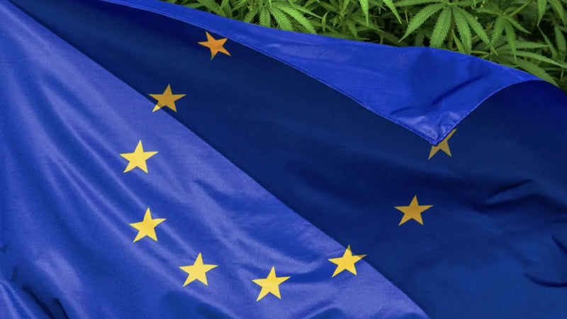 Cannabis Legal en Europa 2024: Países, Leyes y Todo lo que Debes Saber