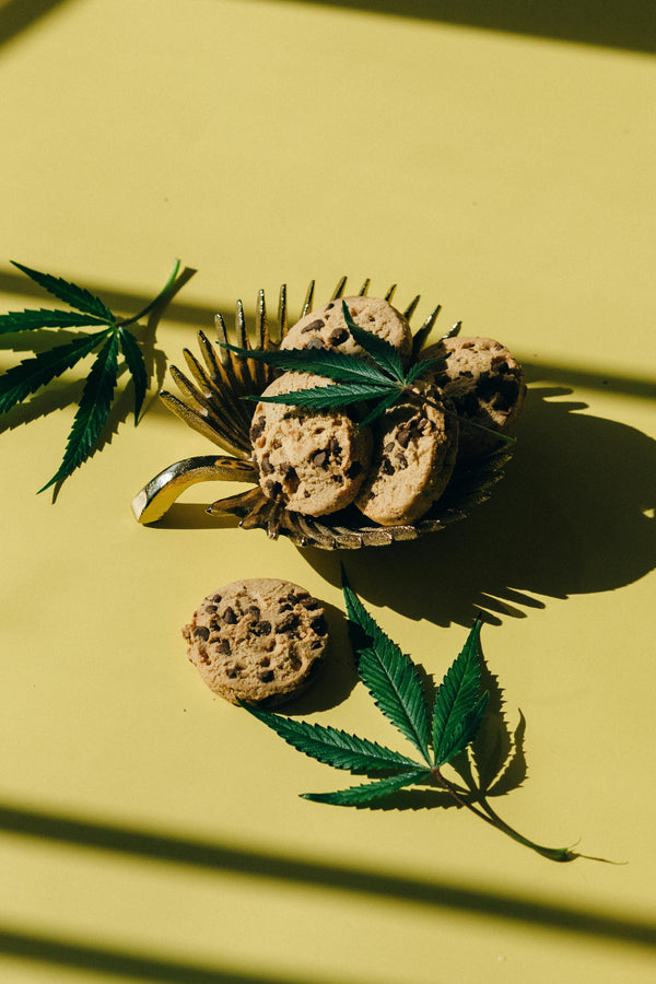 ¿Ya No Sientes el Efecto del Cannabis? Descubre Cómo Restablecer tu Tolerancia Rápido y Fácil en México