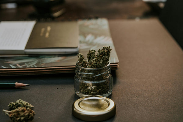 ¿Cómo Saber si tu Marihuana es de Calidad? 7 Claves para Identificar la Mejor Weed en México