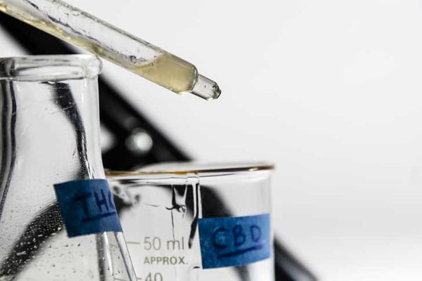 THC vs CBD en México: Descubre las Diferencias, Beneficios y Cómo Elegir el Mejor Cannabis Legal para Ti