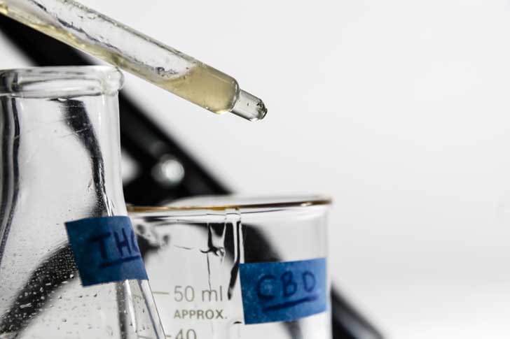 THC vs CBD en México: Descubre las Diferencias, Beneficios y Cómo Elegir el Mejor Cannabis Legal para Ti