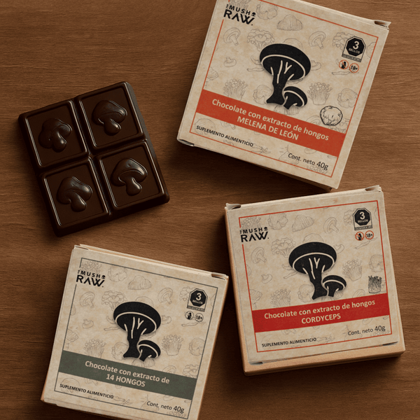 The Mushroom Raw | Barra de Chocolate + Hongos Adaptógenos | 40 gr