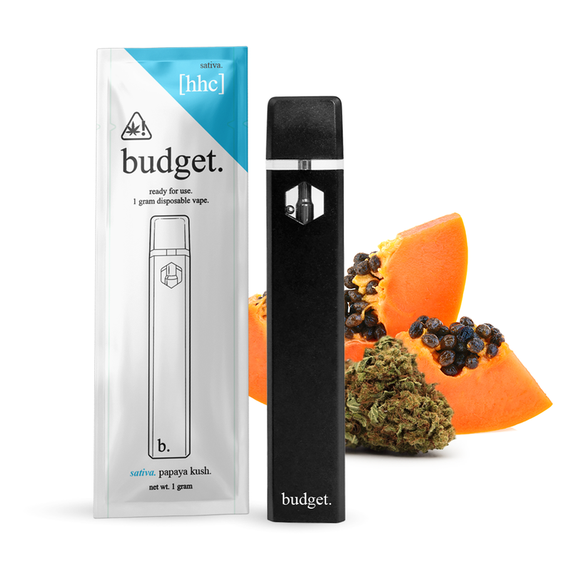 Budget | Vape Desechable HHC 1000 mg | 1 ml | Pluma de Wax