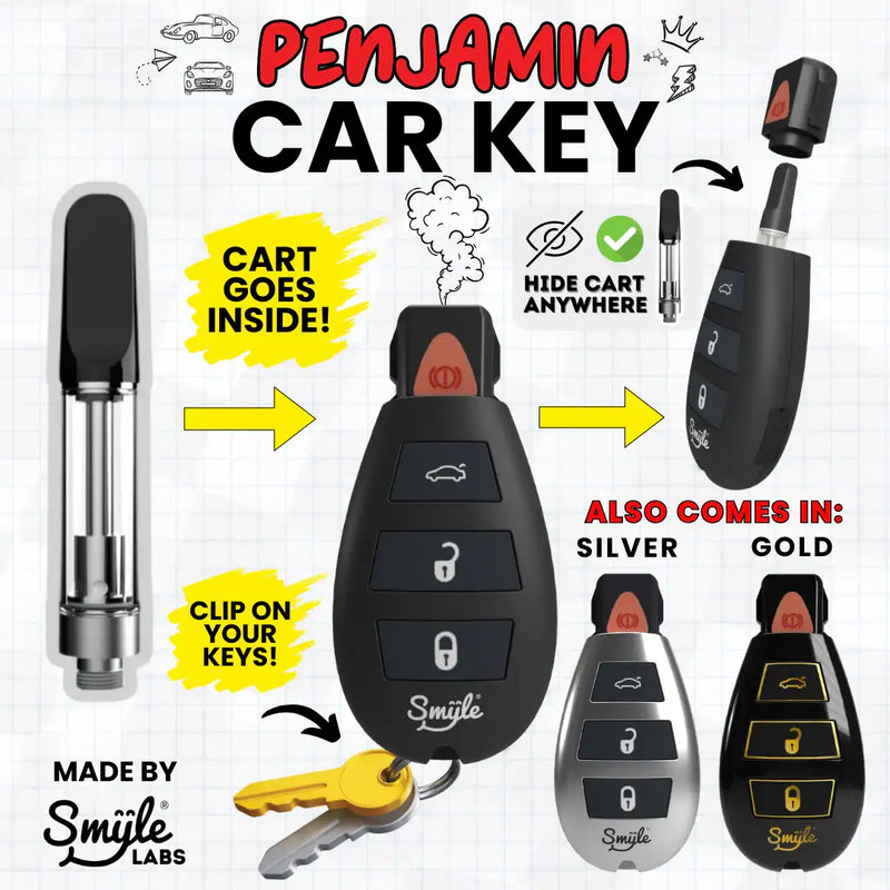 Smyle | Batería para Cartucho Penjamin Car Key | 1 piezas